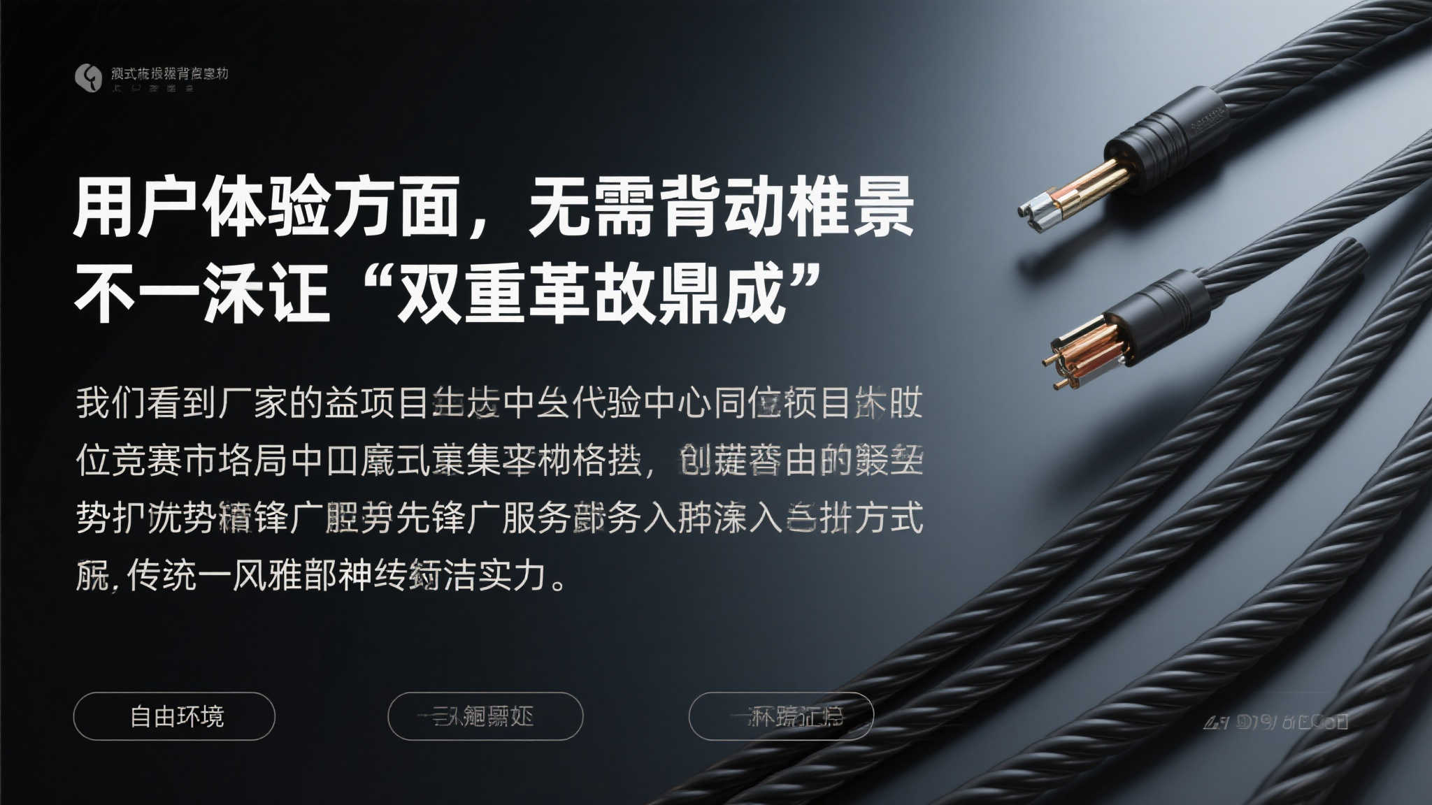 成功案例五
